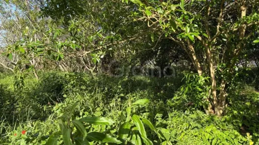 Lote/Terreno à venda, 397m² no Pântano do Sul, Florianópolis