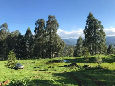 Lote/Terreno à venda, 120000m² no , Urubici