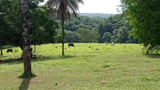 Fazenda/Sítio com 4 Quartos à venda, 900000000m² no , Buritis