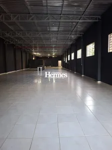 Galpão/Depósito/Armazém com 2 Quartos para alugar, 500m² no Vila José Paulino Nogueira, Paulínia