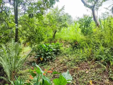 Fazenda/Sítio com 2 Quartos à venda, 90m² no Barragem, São Paulo