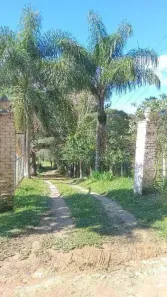 Fazenda/Sítio com 2 Quartos à venda, 4658m² no Roça Velha, São José dos Pinhais