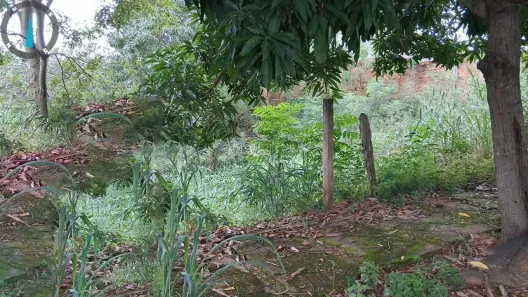 Casa com 2 Quartos à venda, 360m² no , Minaçu