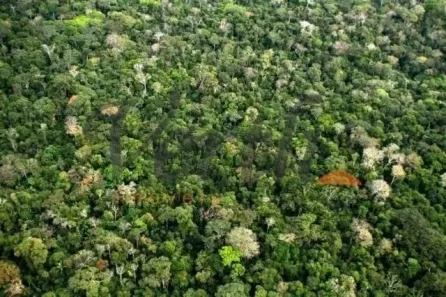 com 1 Quarto à venda, 109000m² no Centro, Borba