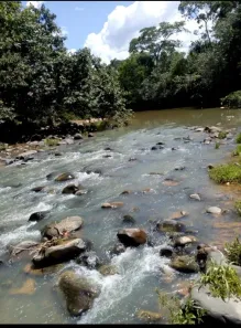 Fazenda/Sítio à venda no Flores de Goiás, Flores de Goiás