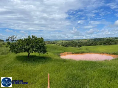 Fazenda/Sítio com 2 Quartos à venda, 3m² no Setor Central, Silvânia