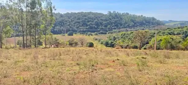 Lote/Terreno à venda, 1000m² no , Paraisópolis