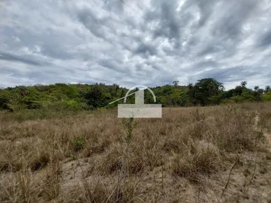 Fazenda/Sítio à venda, 100000m² no , Jequitibá