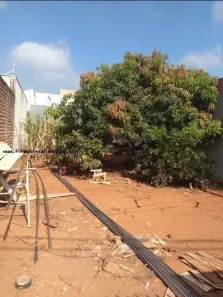 Lote/Terreno à venda, 200m² no Residencial Palmeira Real, Limeira