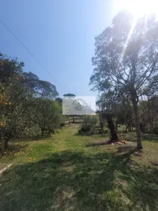 Fazenda/Sítio com 1 Quarto à venda, 5785m² no , Campo Alegre