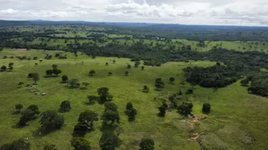 Fazenda/Sítio à venda, 1132m² no , Torixoréu