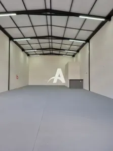 Galpão/Depósito/Armazém para alugar, 250m² no Segismundo Pereira, Uberlândia