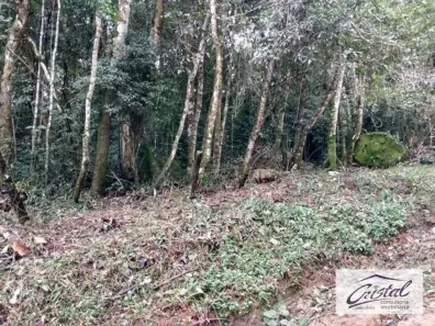 Lote/Terreno à venda, 1518m² no Graça, Cotia