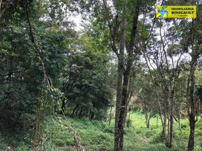 Lote/Terreno à venda, 20000m² no Tijuco Preto(Caucaia do Alto), Cotia