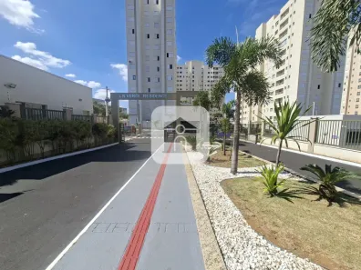 Apartamento com 2 Quartos para alugar, 45m² no Jardim Sul, Uberlândia