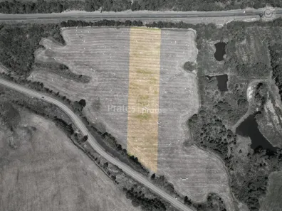 Lote/Terreno à venda, 20000m² no Centro, Palmeira