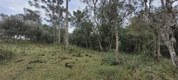 Lote/Terreno à venda no , Urubici