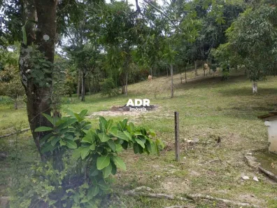 Fazenda/Sítio com 3 Quartos à venda, 40000m² no Bela Vista, Vespasiano