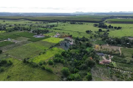 Fazenda/Sítio à venda, 16000m² no , Prado