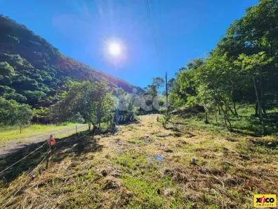 Fazenda/Sítio com 1 Quarto à venda, 5000m² no , Nova Petrópolis