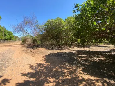 Lote/Terreno à venda, 5000m² no Santana, Teresina