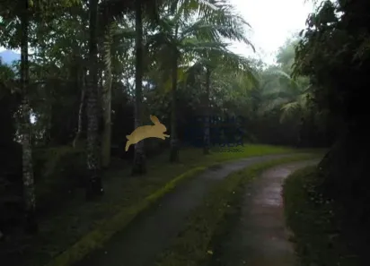 Lote/Terreno à venda, 1775m² no Praia Vermelha, Ubatuba