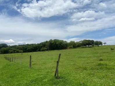 Fazenda/Sítio com 3 Quartos à venda, 114000000m² no Jardim Sul, Uberlândia