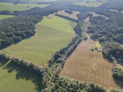 Fazenda/Sítio com 3 Quartos à venda, 240m² no Cará-cará, Ponta Grossa
