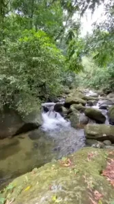 Lote/Terreno à venda, 7200m² no Pico (Santo Aleixo), Magé
