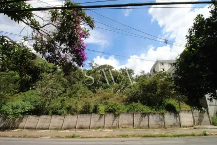 Lote/Terreno à venda, 468m² no Buritis, Belo Horizonte