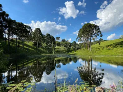 Fazenda/Sítio com 10 Quartos à venda, 3000m² no Campo Alto, Tijucas do Sul