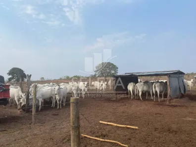 Fazenda/Sítio à venda, 2752m² no , General Carneiro