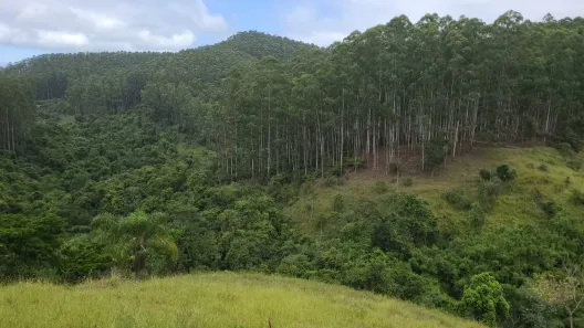 Fazenda/Sítio com 1 Quarto à venda, 5853496m² no Área Rural de Guaratinguetá, Guaratinguetá