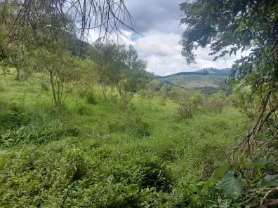 Lote/Terreno à venda, 49000m² no , Camanducaia