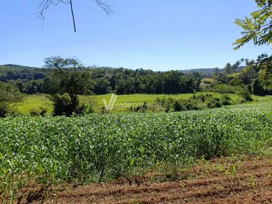 Lote/Terreno à venda, 20000m² no Área Rural de Pedreira, Pedreira