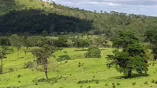 à venda, 610000m² no Frimisa, Santa Luzia