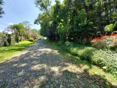 Lote/Terreno à venda, 3182m² no Paisagem Renoir, Cotia