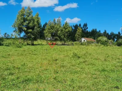 Fazenda/Sítio com 4 Quartos à venda, 1258400m² no São Vicente de Paula, Araruama