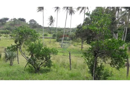 com 4 Quartos à venda, 4000m² no , Macaíba
