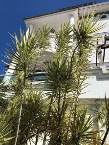 Apartamento com 2 Quartos à venda, 70m² no Pagani, Palhoça