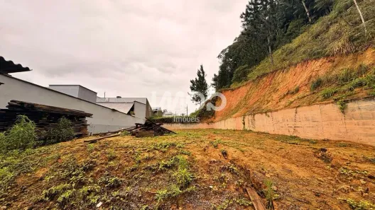 Lote/Terreno à venda, 338m² no São Luís, Jaraguá do Sul