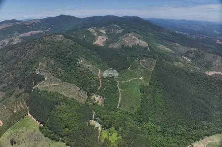 Fazenda/Sítio à venda, 150000m² no , Cerro Azul