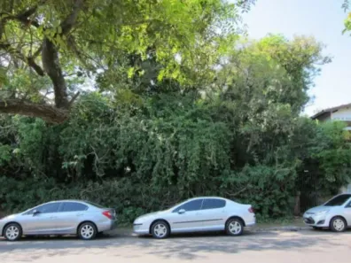 Lote/Terreno à venda, 1613m² no Pinheiro, São Leopoldo