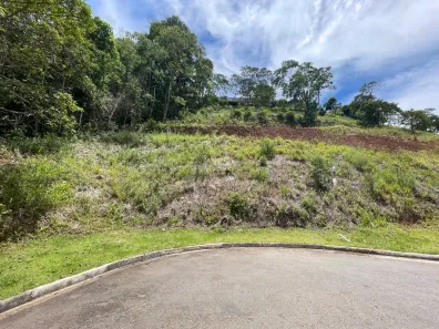 Lote/Terreno à venda, 519m² no Parque Guadalajara, Juiz de Fora