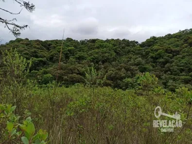 Lote/Terreno à venda, 179300m² no Colônia Murici, São José dos Pinhais
