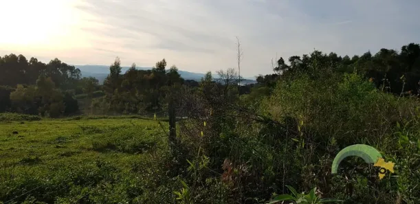 Fazenda/Sítio à venda, 37663m² no , São José do Hortêncio