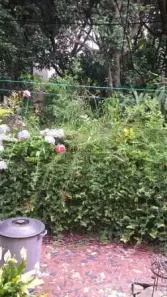 Lote/Terreno à venda, 450m² no Centro, São Caetano do Sul