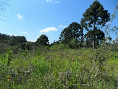Lote/Terreno à venda, 42478m² no Areia Branca dos Assis, Mandirituba