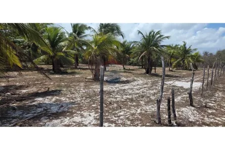 Lote/Terreno à venda, 12960m² no , Acaraú