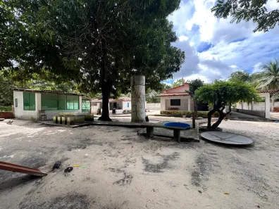 Fazenda/Sítio com 3 Quartos à venda, 8872m² no , Cascavel